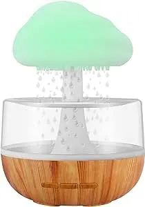 Rain Cloud Humidifier